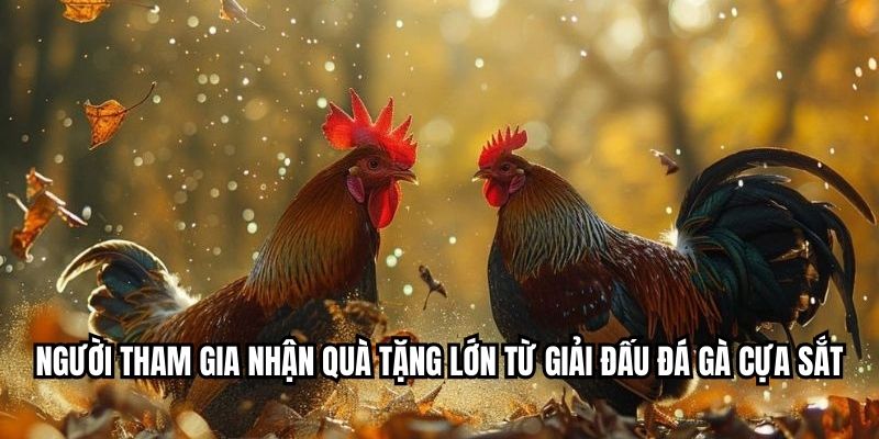 Người tham gia nhận quà tặng lớn từ giải đấu đá gà cựa sắt